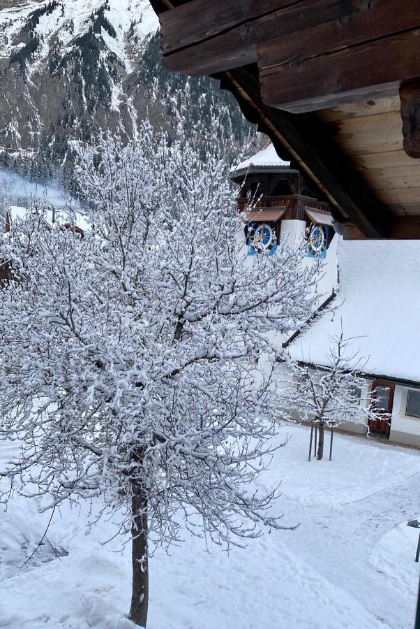 Familienferien Im Chalet Baergli Кандерштег Екстер'єр фото